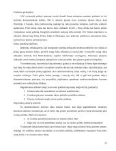 Multinacionalinių kompanijų ypatumai 20 puslapis