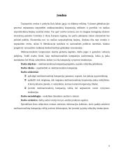 Multinacionalinių kompanijų ypatumai 2 puslapis