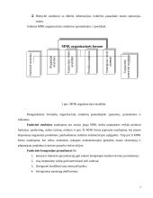 Multinacionalinių kompanijų ypatumai 5 puslapis
