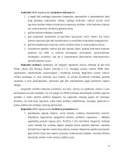 Multinacionalinių kompanijų ypatumai 6 puslapis