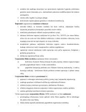 Multinacionalinių kompanijų ypatumai 7 puslapis