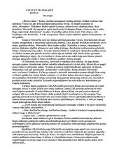 V. Žilinskaitė "Kintas"