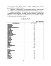 Keleivių vežimas 11 puslapis