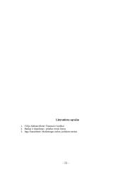 Draudimo paslaugų plėtra Lietuvoje 11 puslapis