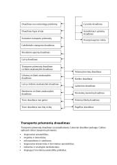 Draudimo paslaugų plėtra Lietuvoje 6 puslapis