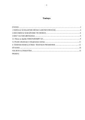 Tekstilės pramonė 2 puslapis