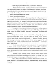 Tekstilės pramonė 4 puslapis