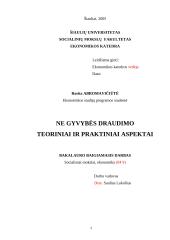 Ne gyvybės draudimo teoriniai ir praktiniai aspektai 2 puslapis