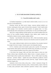 Ne gyvybės draudimo teoriniai ir praktiniai aspektai 11 puslapis