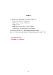 Ne gyvybės draudimo teoriniai ir praktiniai aspektai 8 puslapis