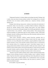 Ne gyvybės draudimo teoriniai ir praktiniai aspektai 9 puslapis