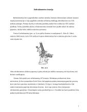Refraktometrija ir refraktometras 2 puslapis