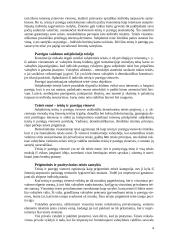 Šiuolaikinė teisės samprata 4 puslapis