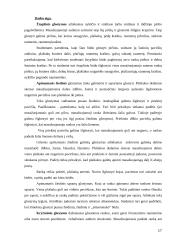 Gydomojo (klasikinio) masažo būdai 17 puslapis