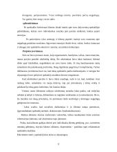 Socialinio pedagogo praktikos ataskaita: Lietuvos aklųjų ir silpnaregių sąjunga 11 puslapis