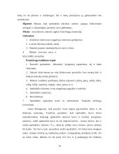 Socialinio pedagogo praktikos ataskaita: Lietuvos aklųjų ir silpnaregių sąjunga 10 puslapis