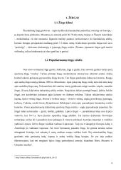 Jojimo sportas 4 puslapis