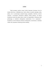 Laikraščių leidyba Lietuvoje istorija ir dabartis 3 puslapis