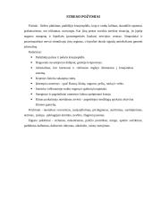Streso valdymas 4 puslapis