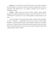 Streso valdymas 6 puslapis