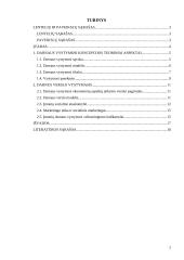 Darni (subalansuota, tvari, tausojanti) ekonominė plėtra 2 puslapis