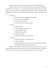 Darni (subalansuota, tvari, tausojanti) ekonominė plėtra 16 puslapis