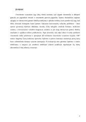 Darni (subalansuota, tvari, tausojanti) ekonominė plėtra 4 puslapis