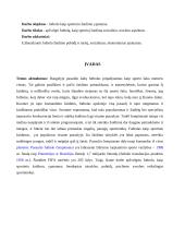 Futbolo, kaip sportinio žaidimo, charakteristika 3 puslapis