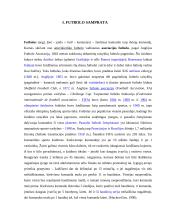 Futbolo, kaip sportinio žaidimo, charakteristika 4 puslapis