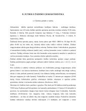 Futbolo, kaip sportinio žaidimo, charakteristika 7 puslapis