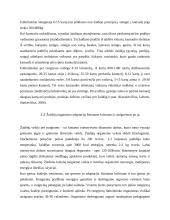 Futbolo, kaip sportinio žaidimo, charakteristika 8 puslapis