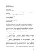 Optimalių darbo sąlygų sudarymas 11 puslapis