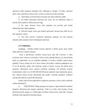 Optimalių darbo sąlygų sudarymas 13 puslapis