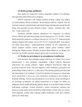 Optimalių darbo sąlygų sudarymas 15 puslapis