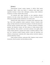 Optimalių darbo sąlygų sudarymas 4 puslapis