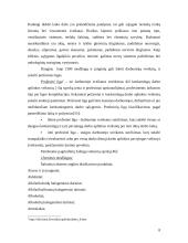 Optimalių darbo sąlygų sudarymas 8 puslapis