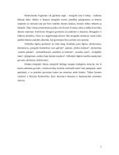 B. Vilimaitė "Dzūkė mergaitė" 5 puslapis