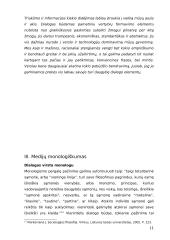 Individo tyla medijų triukšme 11 puslapis