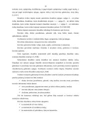 Kargo sutarčių sudarymo analizė ir plėtros perspektyvos Lietuvoje 19 puslapis