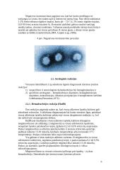 Virusinių ligų diagnozavimo metodai, jų specifiškumas ir panaudojimo galimybės 6 puslapis