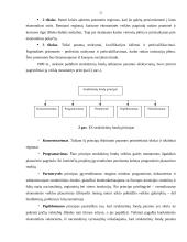 Europos Sąjungos parama Lietuvos Respublikai 10 puslapis