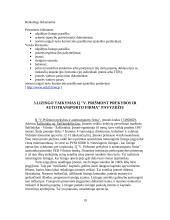 Lizingas ir jo taikymas Lietuvoje IĮ "V. Prišmont prekybos ir autotransporto firma" pavyzdžiu 19 puslapis