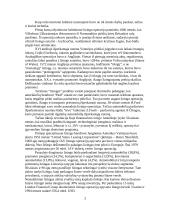 Lizingas ir jo taikymas Lietuvoje IĮ "V. Prišmont prekybos ir autotransporto firma" pavyzdžiu 3 puslapis