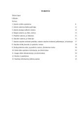 Baigiamosios praktikos ataskaita: statybos įmonės UAB "Sivysta" 2 puslapis