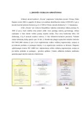 Baigiamosios praktikos ataskaita: statybos įmonės UAB "Sivysta" 3 puslapis