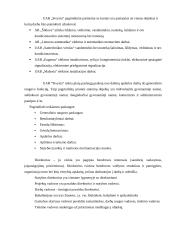 Baigiamosios praktikos ataskaita: statybos įmonės UAB "Sivysta" 4 puslapis