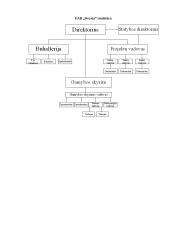 Baigiamosios praktikos ataskaita: statybos įmonės UAB "Sivysta" 5 puslapis
