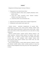 Brangakmenių klasifikavimas 2 puslapis