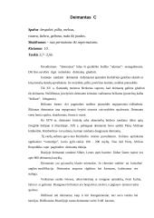 Brangakmenių klasifikavimas 3 puslapis