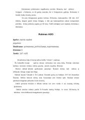 Brangakmenių klasifikavimas 4 puslapis